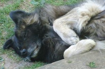 Tubsi eins mit der Welt