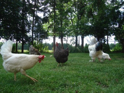 Gruppentreff buntgemischt